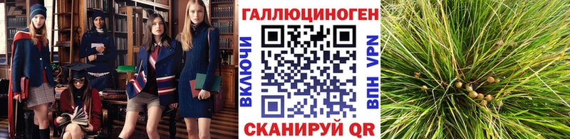 Псилоцибиновые грибы Psilocybine cubensis  купить  цена  Нововоронеж 
