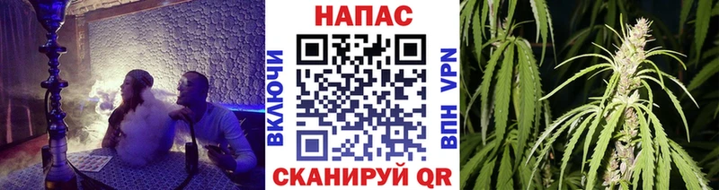Каннабис тримм  цены   Нововоронеж 