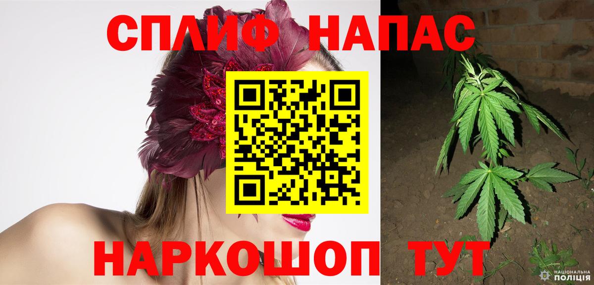 Бошки Шишки план  Каннабис Amnesia  Вход с VPN  Нововоронеж 